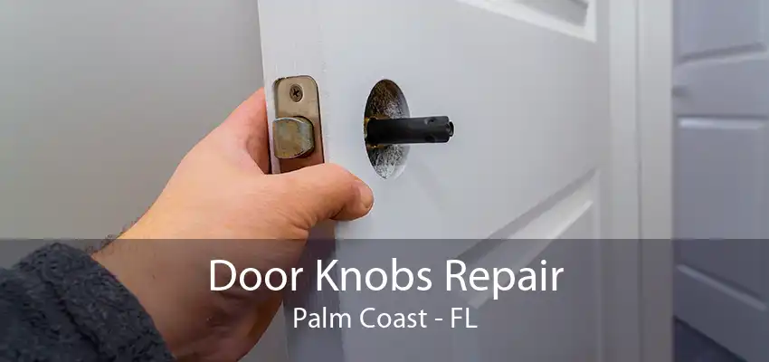 Door Knobs Repair Palm Coast - FL